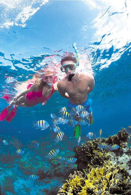 Crete: Coastline Snorkeling Cruise from Hersonissos Port - A short cruise with a clear purpose