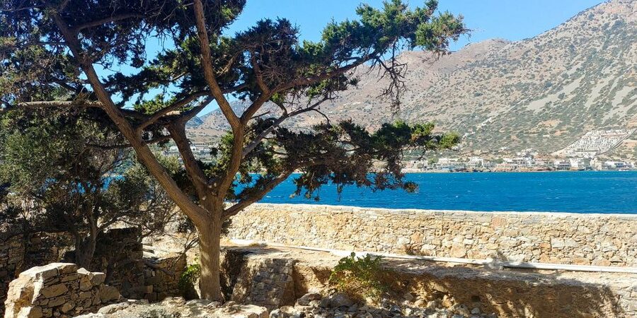 Crete: Day Trip to Agios Nikolaos and Spinalonga Island - Who will enjoy this day most