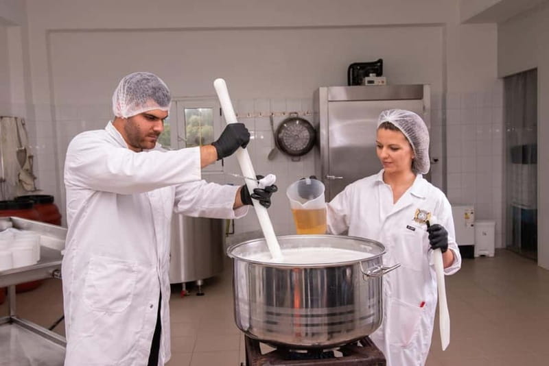 Crete: Farm Visit with Cheese Tasting and Milking Experience - Key points at a glance