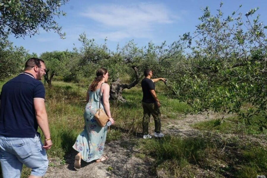 Crete: Full-Day Cretan Wines, Olive Oil, Raki and Food Tour - Raki, an old press, and the rakokazano