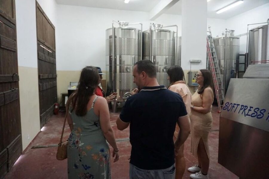Crete: Full-Day Cretan Wines, Olive Oil, Raki and Food Tour - Pottery in Thrapsano