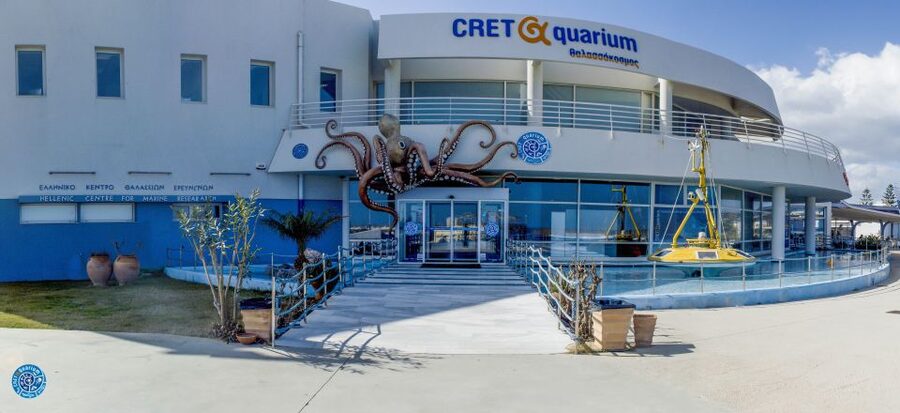 Crete: Heraklion Center, Local Market and Creta Aquarium - Cretaquarium in an 80-minute visit