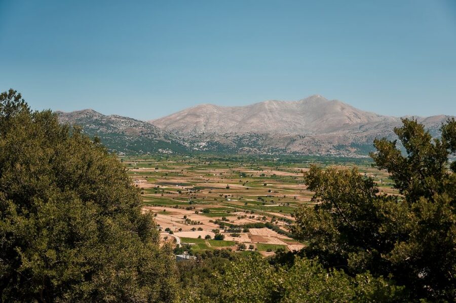 Crete: Knossos Palace and Lassithi Plateau Day Tour - Lunch in Tzermiado, with a €14 choice