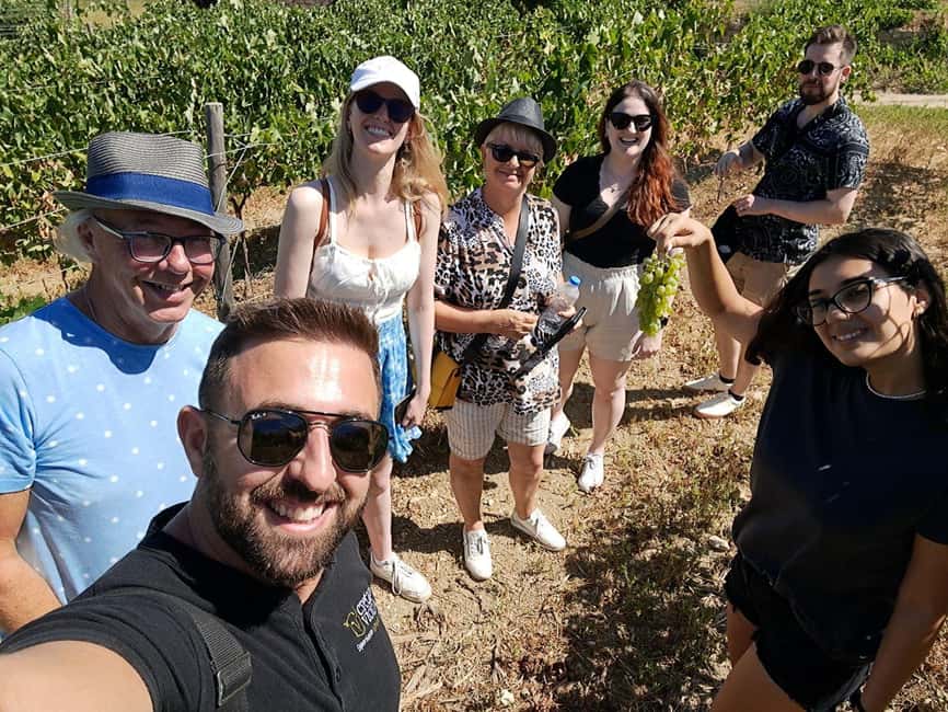 Crete: Knossos Palace, Winery & Olive Oil Tour with Lunch - Extra virgin olive oil, with a taste of the farm