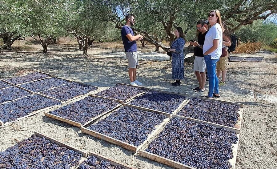 Crete: Knossos Palace, Winery & Olive Oil Tour with Lunch - A village lunch worth making time for