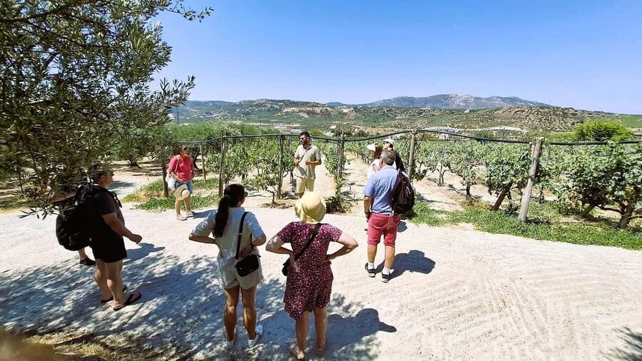 Crete: Knossos Palace, Winery & Olive Oil Tour with Lunch - Knossos before the crowds