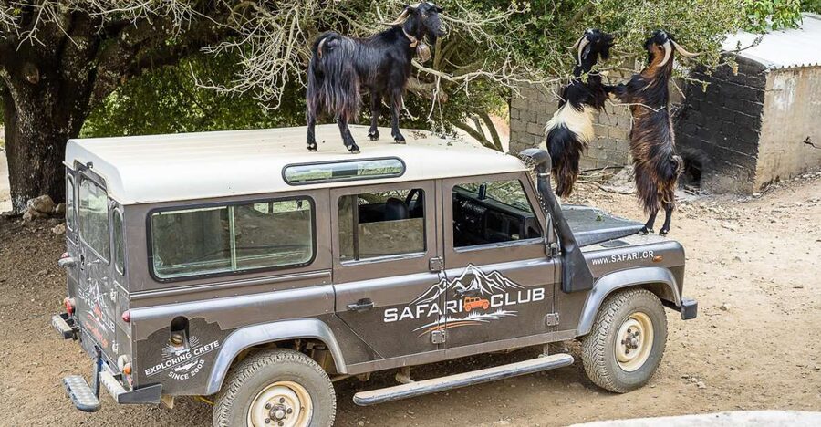 Crete: Land Rover Safari on Minoan Route - Key points to know before booking