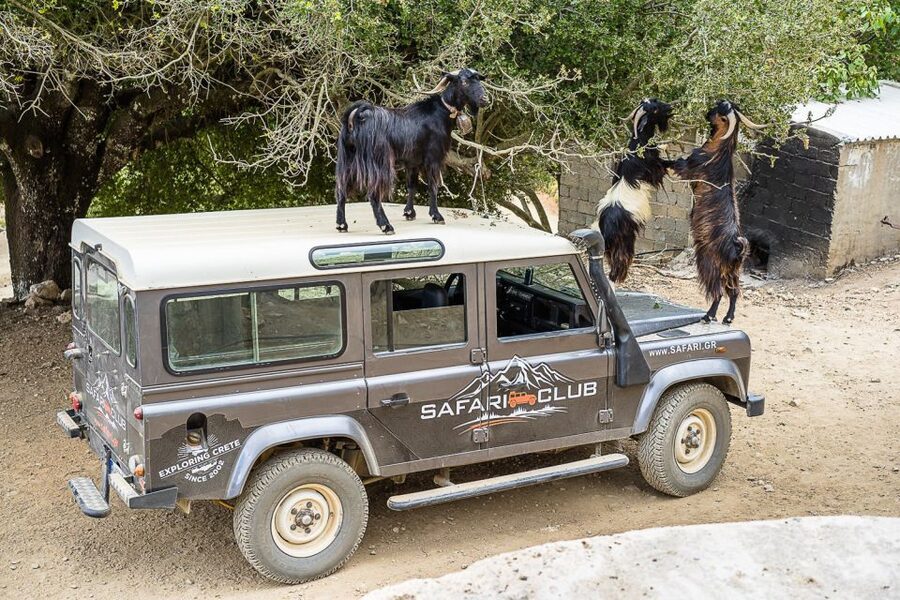 Crete: Land Rover Safari on Minoan Route - Bouncing along the old Minoan Path