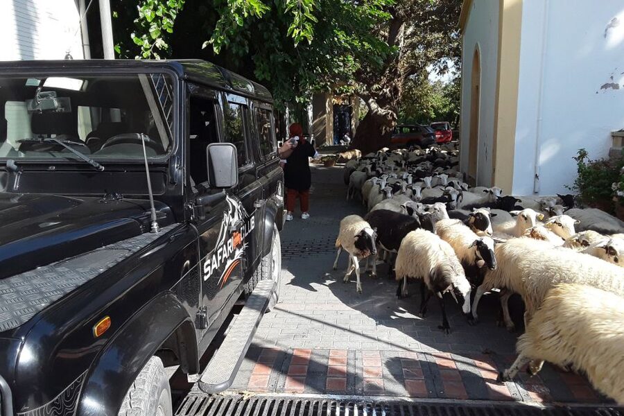Crete: Land Rover Safari on Minoan Route - The Greek Mythology Park and the stories of Crete