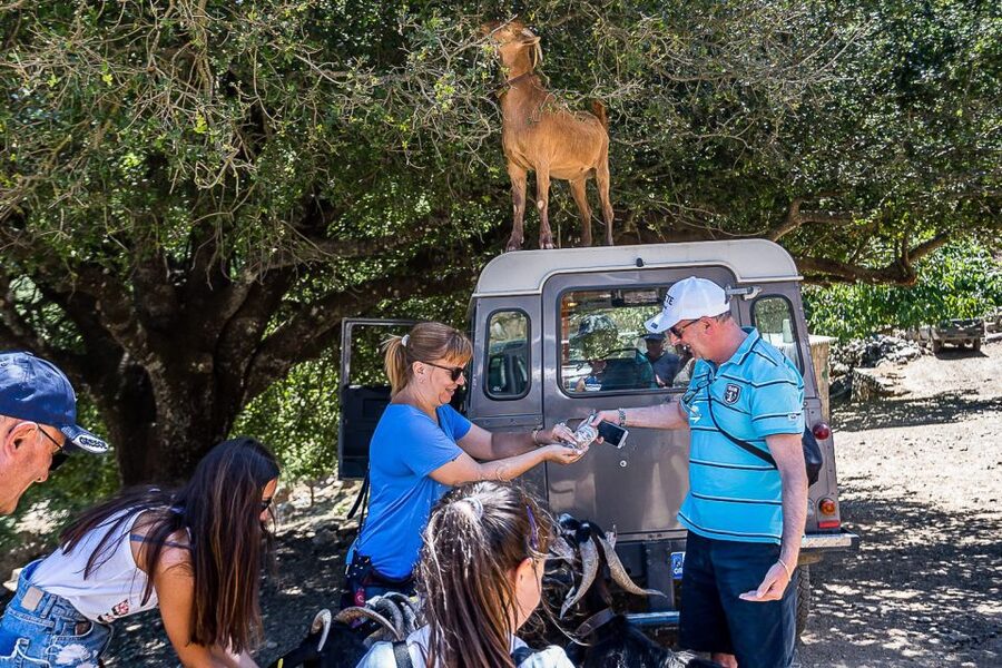 Crete: Land Rover Safari on Minoan Route - Lunch at a local taverna