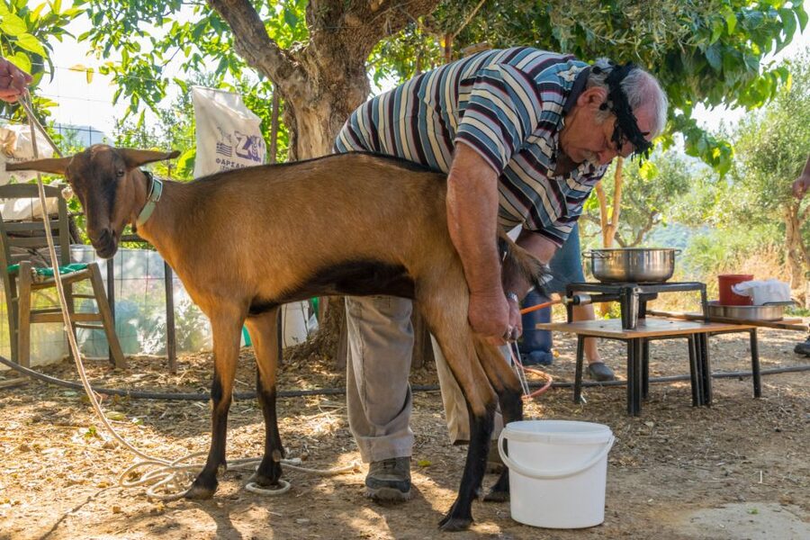 Crete: Lasithi Plateau and Cave of Zeus Off-Road Safari Tour - Aposelemis Dam and the half-submerged village of Sfendili