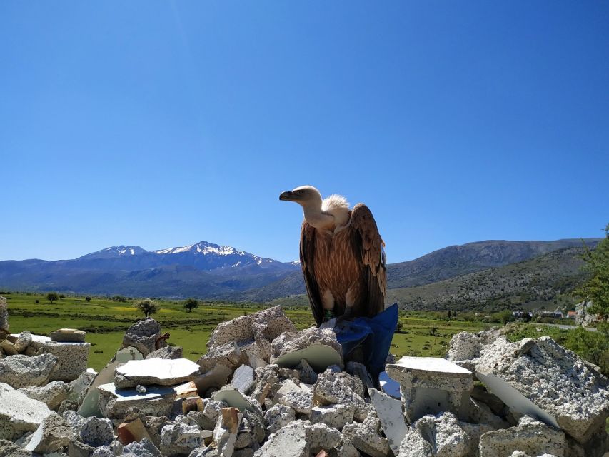 Crete: Lasithi Plateau and Cave of Zeus Off-Road Safari Tour - Lasithi Plateau and the rhythm of mountain life