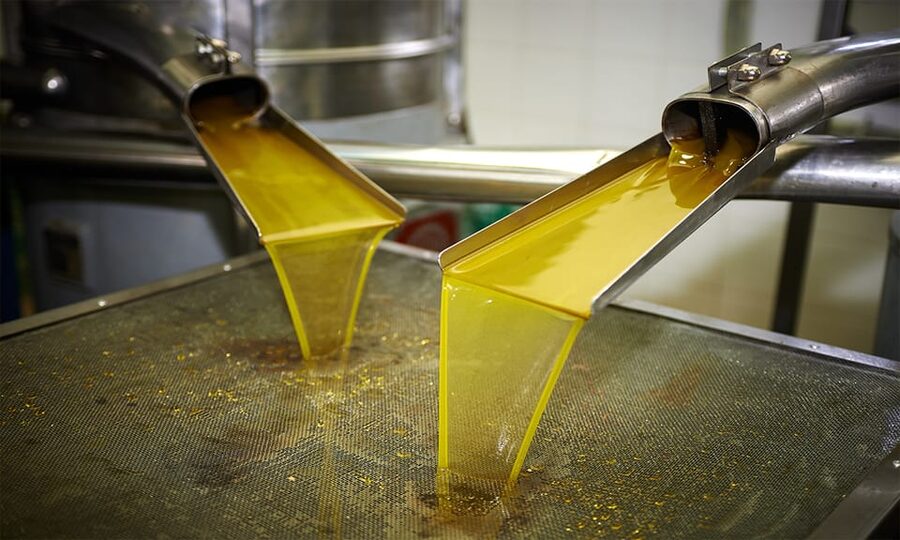 Crete: Lasithi Plateau & Knossos Palace Day Trip - Avdou and the olive oil tasting