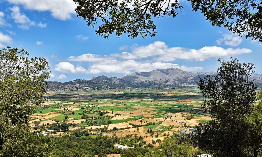 Crete: Lasithi Plateau & Knossos Palace Day Trip - Krasi: plane trees, springs, and village life