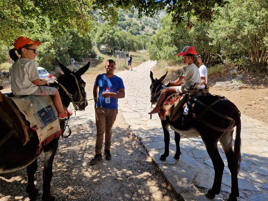 Crete: Lasithi Plateau Zeus Cave Guided Jeep Safari Tour - What the $100 price really includes