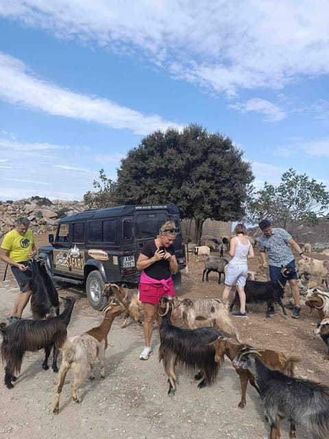 Crete: Lasithi Plateau Zeus Cave Guided Jeep Safari Tour - Reaching Lasithi Plateau at 1,150 meters
