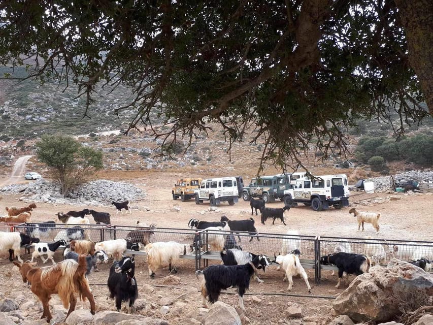 Crete: Lasithi Plateau Zeus Cave Guided Jeep Safari Tour - Zeus Cave and the story of the god’s birth