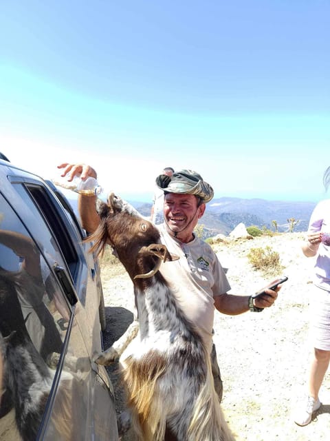 Crete: Lasithi Plateau Zeus Cave Guided Jeep Safari Tour - A real Cretan meal at a village tavern