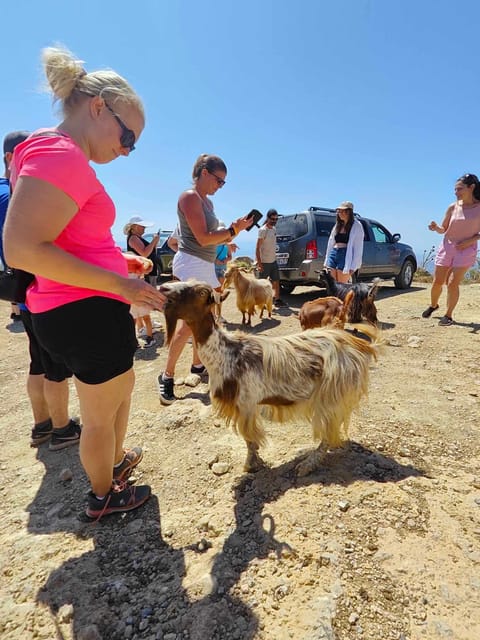 Crete: Lasithi Plateau Zeus Cave Guided Jeep Safari Tour - Avdou and the working side of olive oil