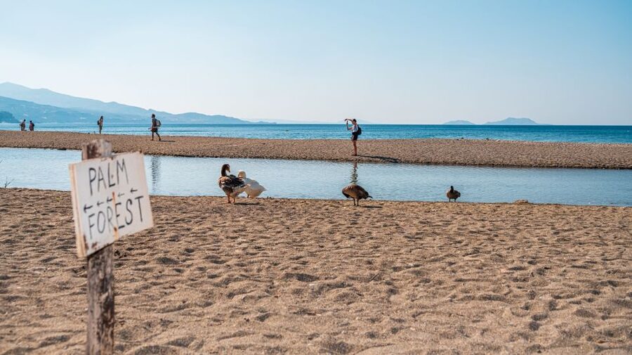 Crete: Preveli Tropical Beach and Palm Forest - Smart packing for Preveli