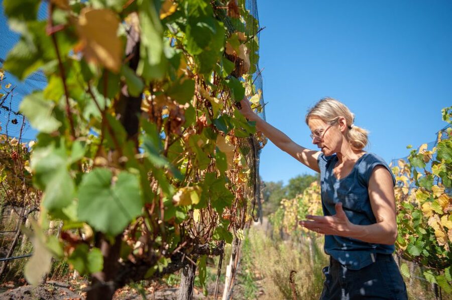 Crete Private Tour: The Secrets of Wine, Olives & Honey - Garazo village and the quieter side of Crete