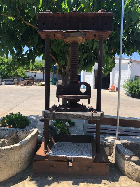 Crete Private Tour: The Secrets of Wine, Olives & Honey - Melidoni lunch and the best chance to slow down