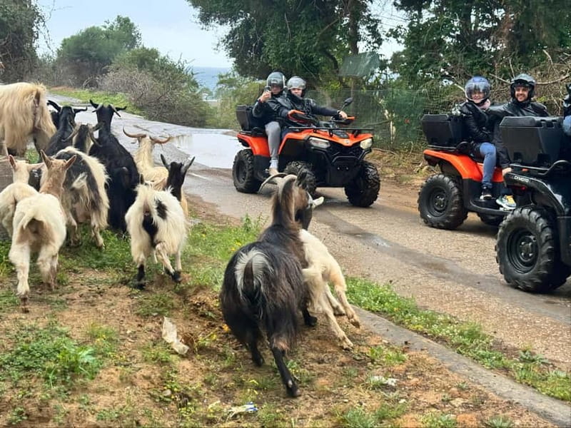 Crete: Quad Safari with Ghost Town Exploration - Key points to know before you book