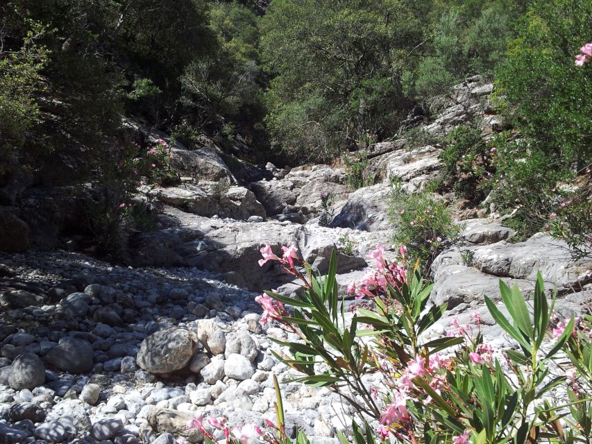 Crete: Richtis Waterfall Full-Day Tour with Olive Tasting - Who should book this outing?