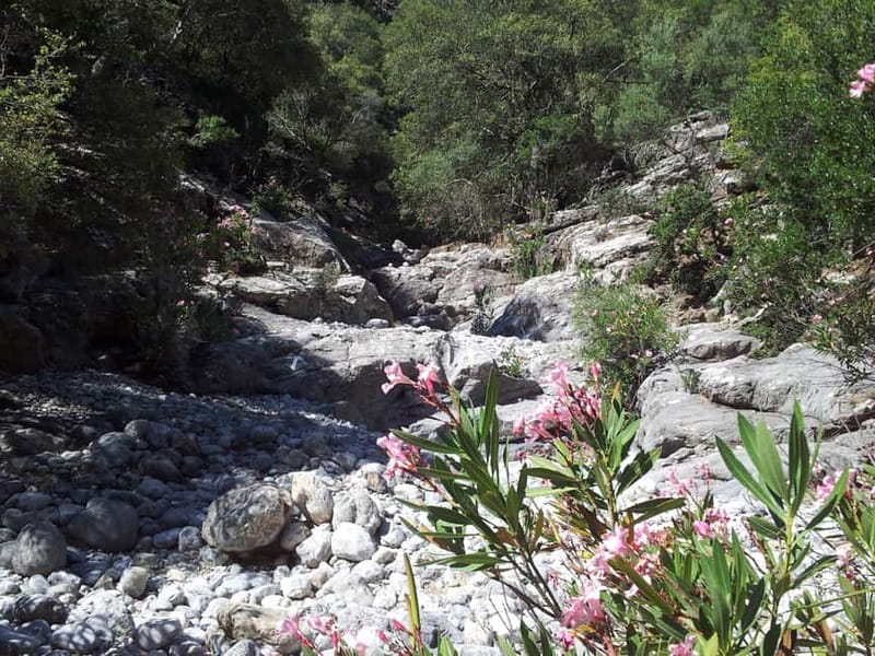 Crete: Richtis Waterfall Full-Day Tour with Olive Tasting - Lunch at a local taverna