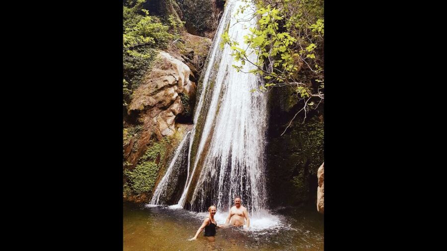 Crete: Richtis Waterfall Full-Day Tour with Olive Tasting - Meeting an ancient olive tree