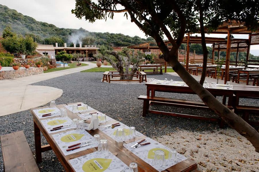 Crete: Road-trip to Lasithi Plateau & Olive Mill Farm - The olive mill farm and the optional local meal