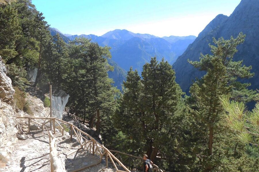 Crete: Samaria Gorge Hiking with transfer and expert Escort - From the Omalos Plateau into the gorge