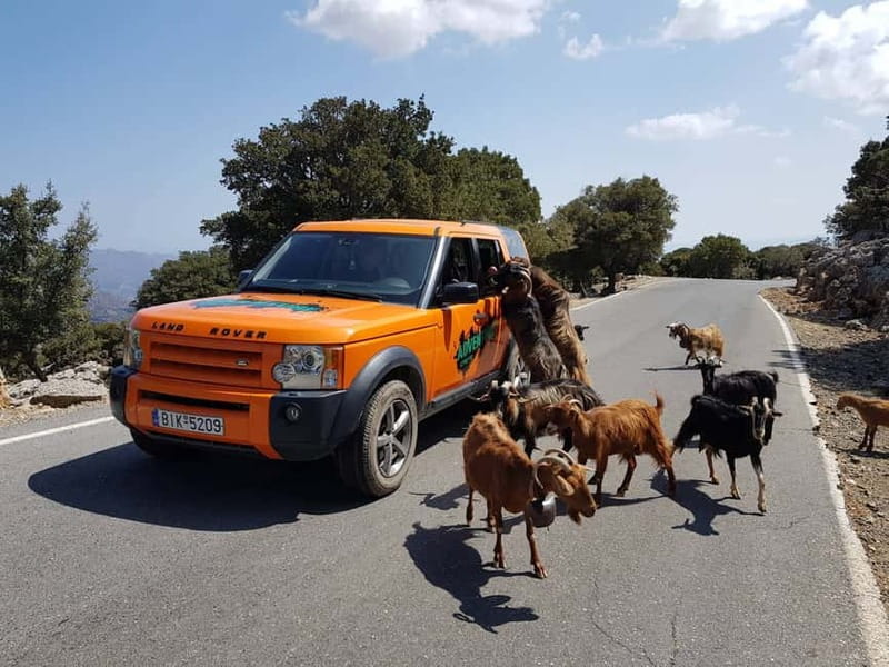 Crete: Sarakina Gorge, Forests, and South Coast Safari - Key points to know before booking