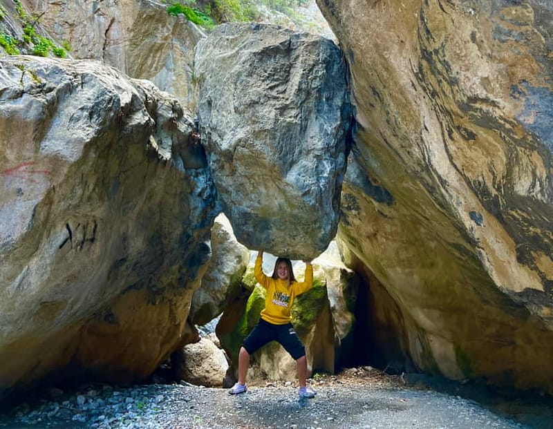Crete: Sarakina Gorge, Forests, and South Coast Safari - Through the protected Kroustas Forest
