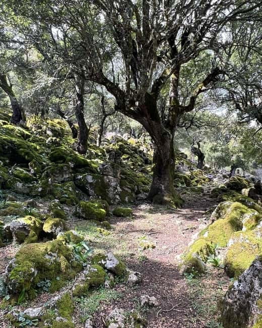 Crete: Sarakina Gorge, Forests, and South Coast Safari - The final coast stop and a chance to swim
