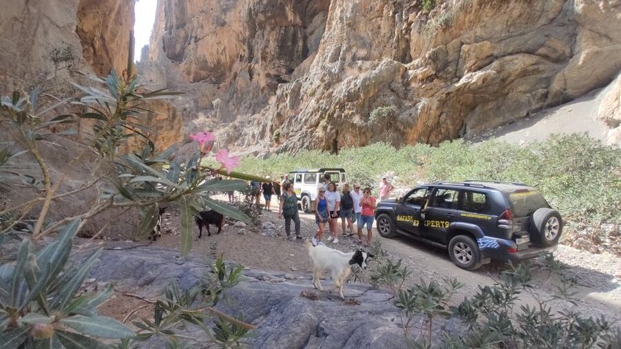 Crete: Trypiti Beach Off-Road South Tour w/ Lunch & Wine - Trypiti Beach is quiet, clear, and brief