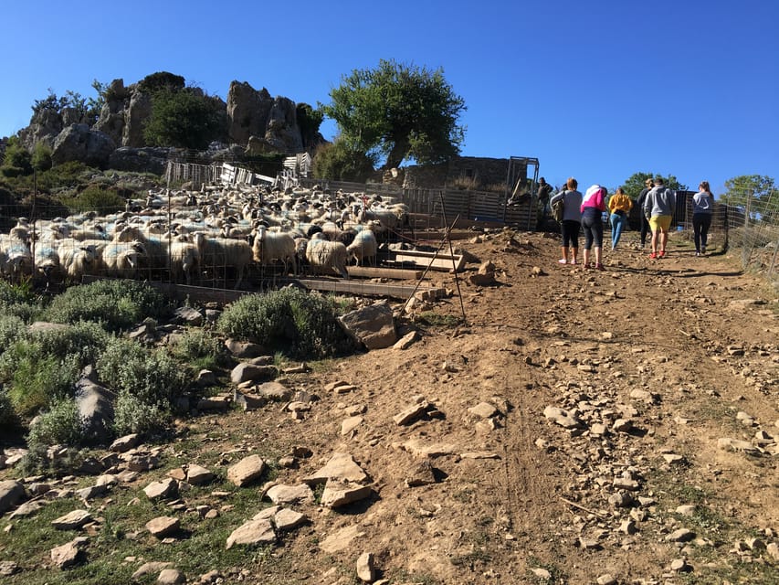 Crete: White Mountains Preserve Day Tour - Therisso, food, and the return through the gorge