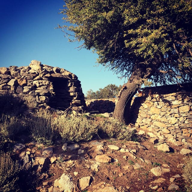 Crete: White Mountains Preserve Day Tour - Starting early from Chania and the coast