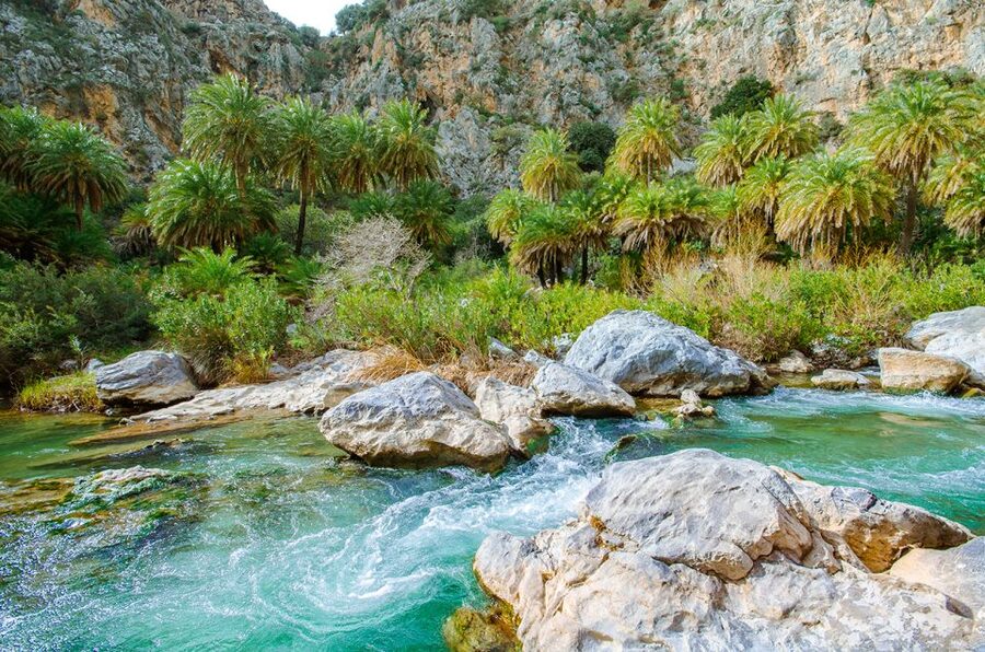 Day Trip to Preveli & Damnoni Beach & Rethymno City Tour - Damnoni Beach gives you a second chance to swim