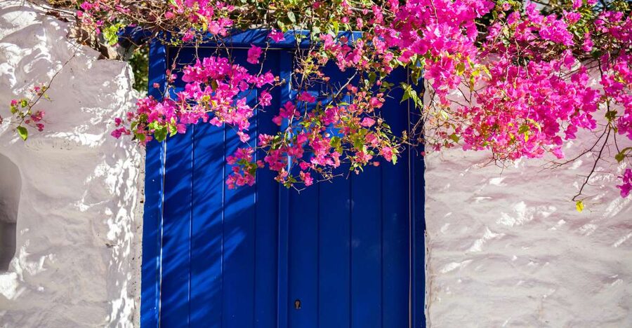 Discover Mykonos in 4 Hours: Beaches, Villages and Town - Matogianni Street, Little Venice, and the famous Windmills