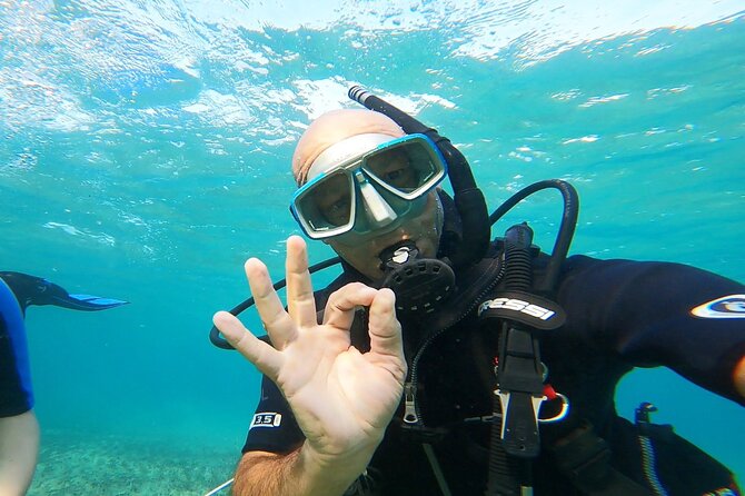 Discover Small Group Scuba Diving Experience in Nea Makri, Athens - A gentle introduction to the Greek sea