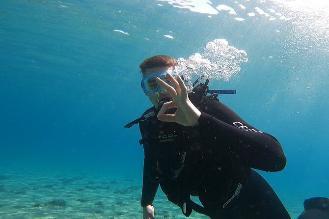 Discover Small Group Scuba Diving Experience in Nea Makri, Athens - The value of a $108.61 introductory session