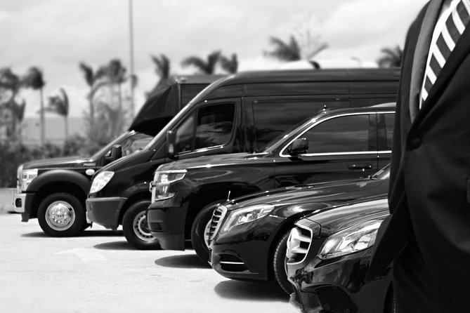 Economy Arrival Transfers From Santorini Airport To All Destinations - A 30-minute ride, with your destination in mind