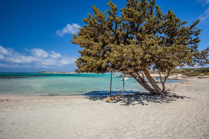 Elafonisi & Milia Mountain - Jeep Tour with Loungers and Lunch - Starting from Chania at 8:00 am