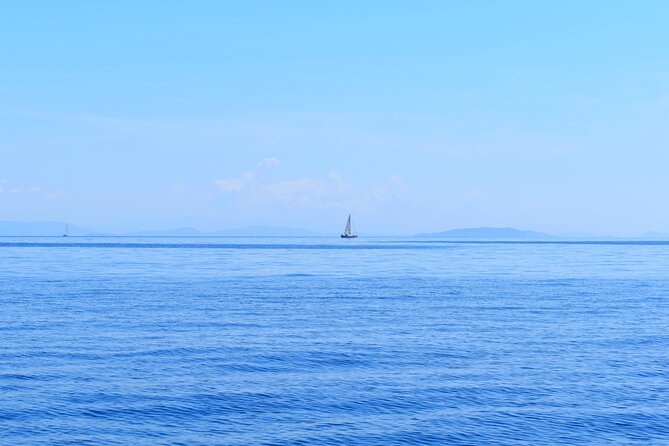 From Agia Efimia: All Inclusive Sailing Day Tour to Ithaca - Key points at a glance
