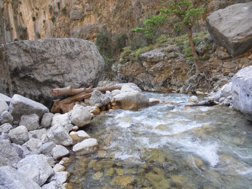 From Agia Galini/Matala: Samaria Gorge Hiking Tour - Starting high on the Omalos Plateau