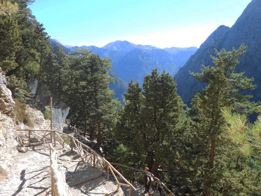 From Agia Galini/Matala: Samaria Gorge Hiking Tour - Four to six hours among rock, trees, and springs