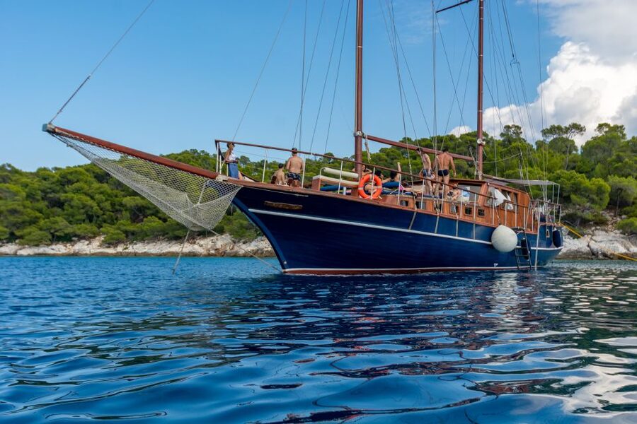 From Athens: Aegina, Agistri and Metopi Day Cruise w/ Lunch - The open-water swim near Metopi, Aponisos, or Moni