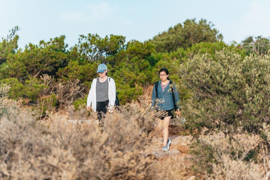 From Athens: Cape Sounion & Temple of Poseidon Half Day Tour - What the $44.60 price really covers