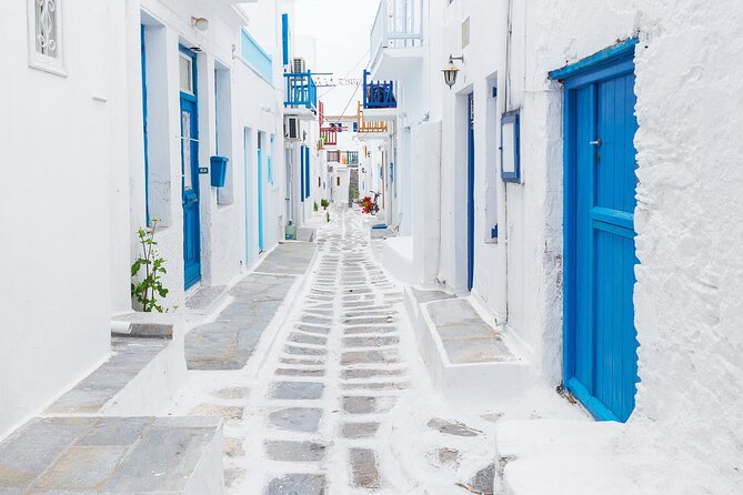 From Athens: Day Tour to Mykonos - Who should book this long island day?